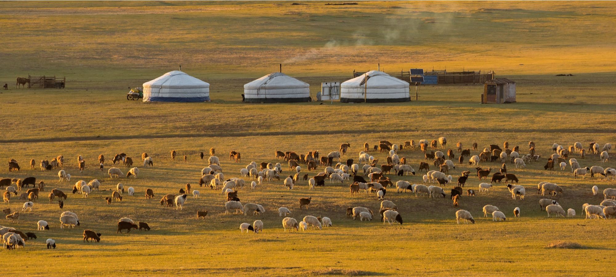 Cycling Holidays Mongolia